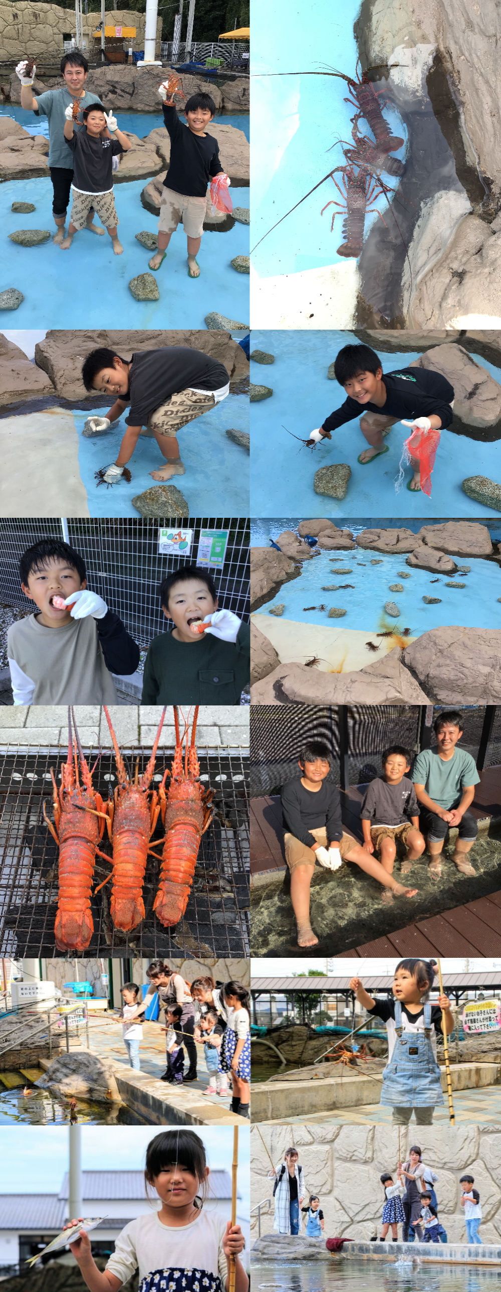 魚釣体験